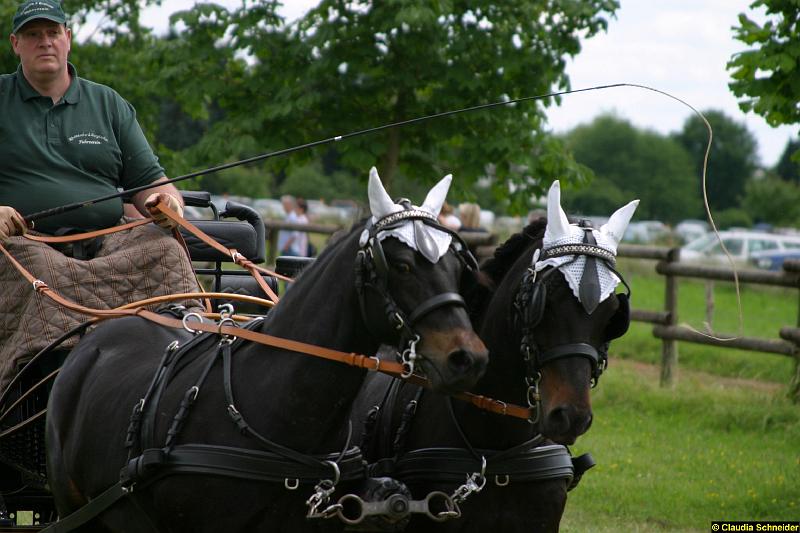 Ponytag Bosbach 2012-038.jpg